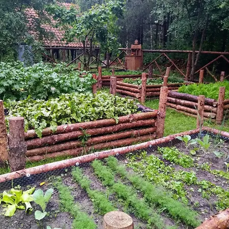 Farm stay Lesna Polana